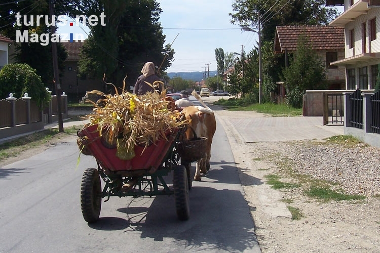 Fuhrwerk in einem serbischen Dorf