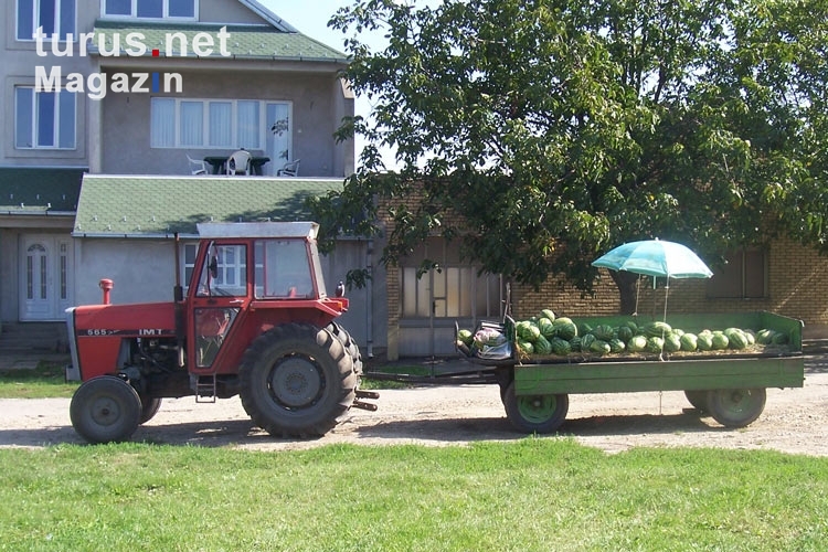 Melonenverkauf vom Traktoranhänger aus in Serbien