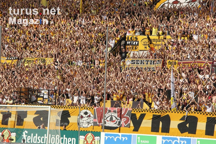 Fans von Dynamo Dresden beim Spiel gegen Köln