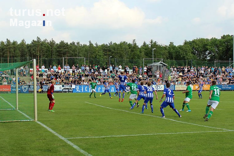 Testspiel FSV Union Fürstenwalde vs. Hertha BSC
