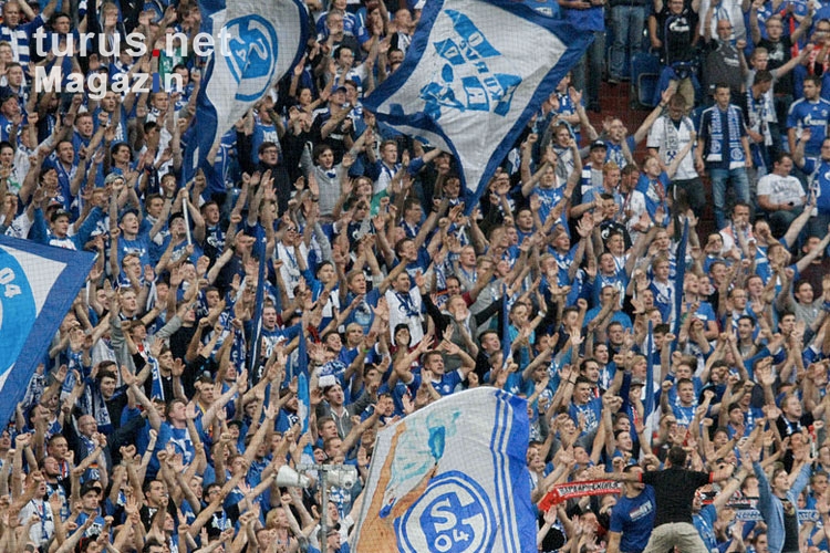FC Schalke 04 vs. PAOK Saloniki, 21.08.2013