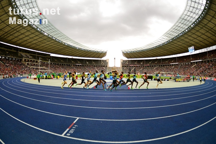1500 Meter der Männer, ISTAF Berlin 2013