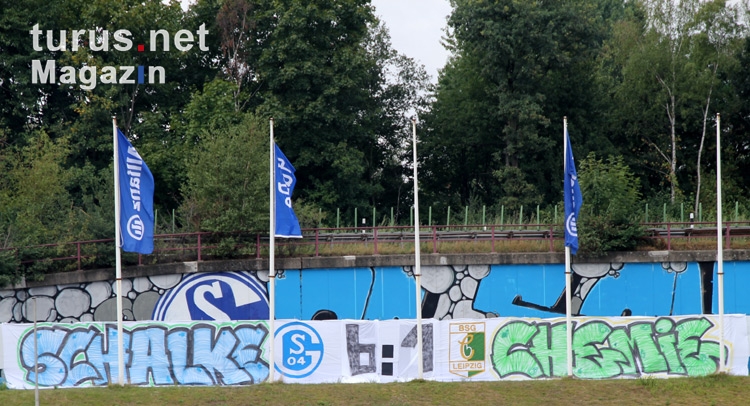 Schalke 04 vs. Chemie Leipzig 6:1 Banner
