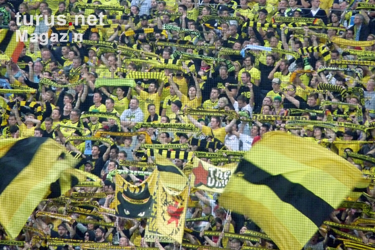 Borussia Dortmund beim TSV 1860 München