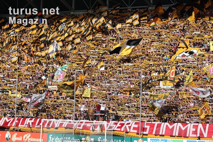 Fans der SG Dynamo Dresden beim Spiel gegen Cottbus