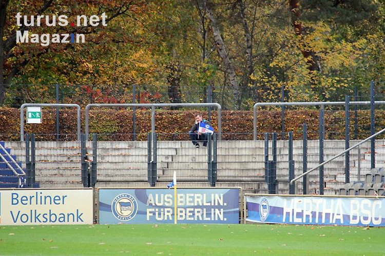 Hertha BSC II vs. FC Viktoria 1889 Berlin, 27. Oktober 2013