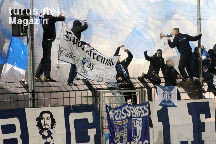 1. FC Magdeburg beim SV Babelsberg 03, 08.11.2013