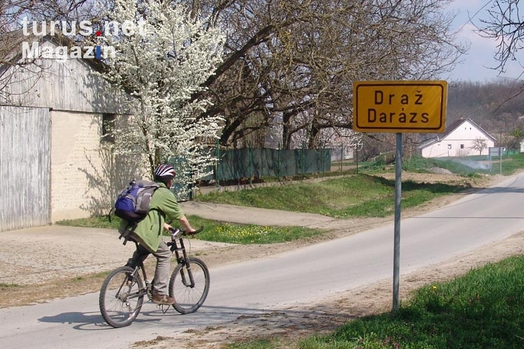 Radfahren in Kroatien bei Draz und Batina / nahe der Grenze zu Serbien