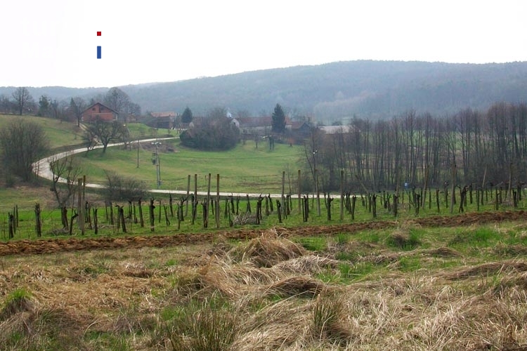 Weinanbau im östlichen Landesteil Sloweniens