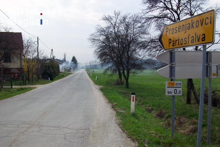 Landstraße nach Prosenjakovci und Pártosfalva in Slowenien