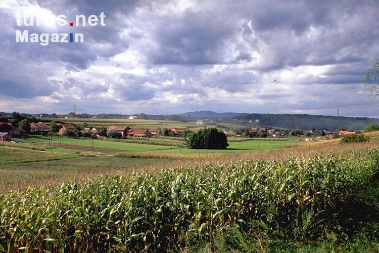 Maisfelder, Weinberge und sanfte Hügel bei Krizevci