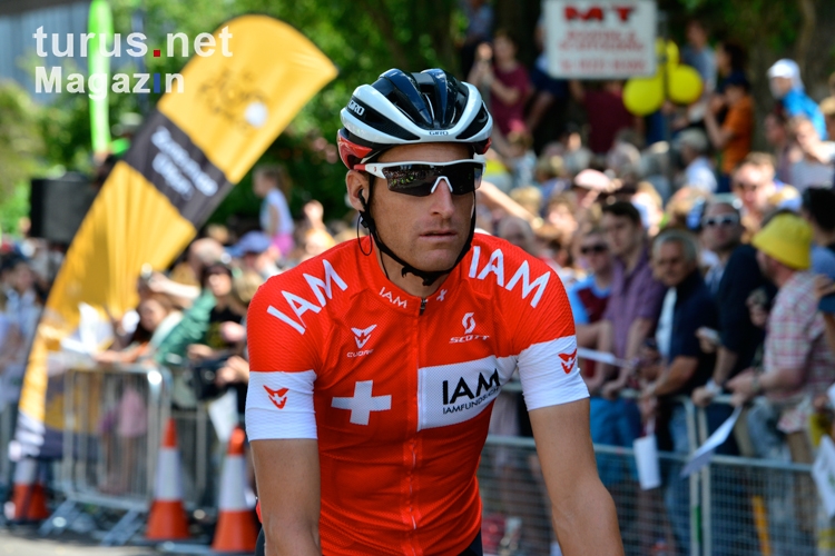 Martin Elmiger, Tour de France 2014