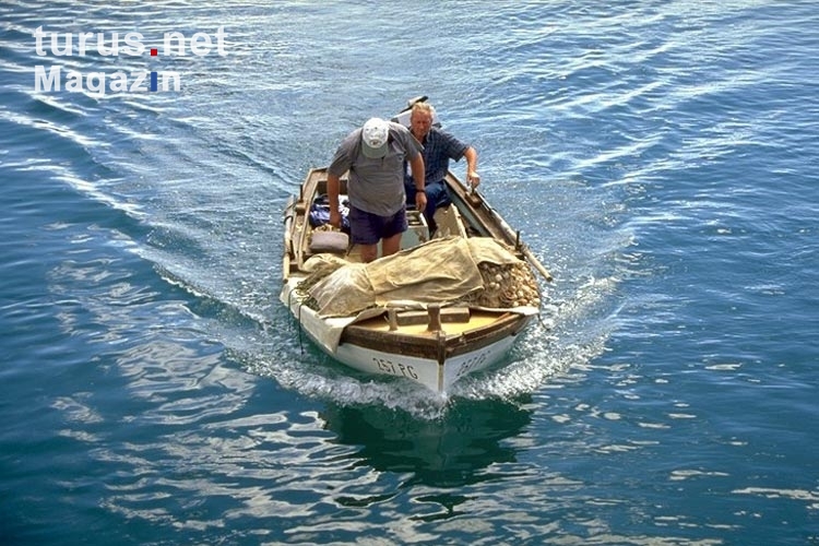 kroatische Fischer vor der Adria-Insel Pag 
