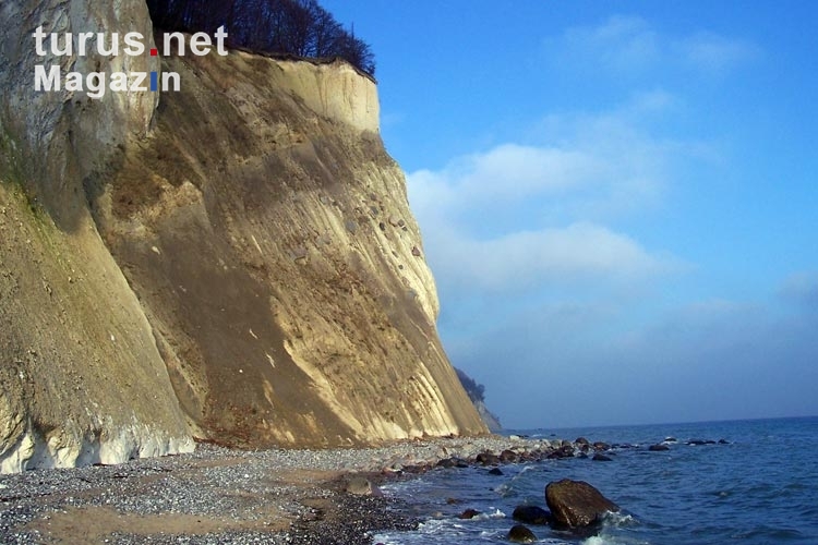 Steilküste / Kreidefelsen auf der Insel Rügen