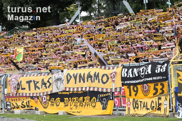 SG Dynamo Dresden bei Rot Weiß Erfurt, 23.08.2014