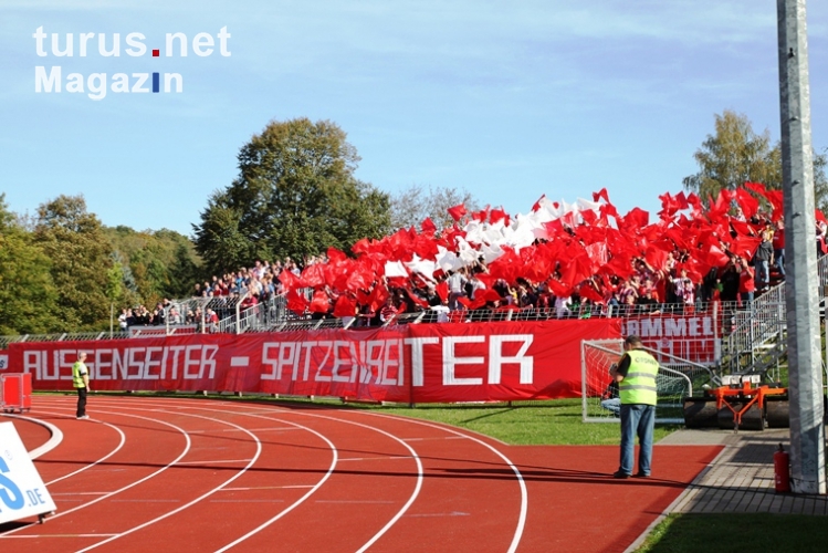 FSV Zwickau vs. BFC Dynamo, Sportforum Sojus 31