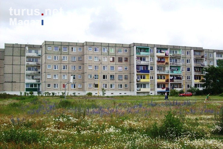 Neubaugebiet in Kasztanowe