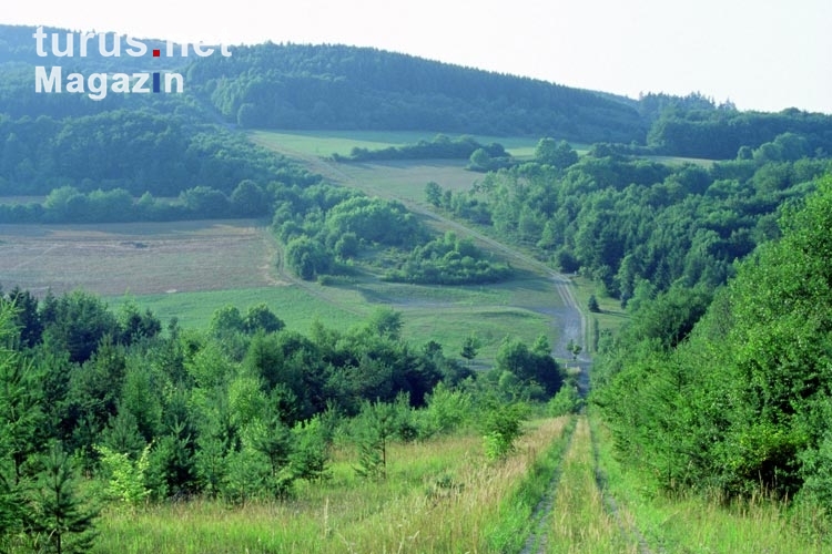Kolonnenweg an der ehemaligen deutsch-deutschen Grenze, Grünes Band in Thüringen