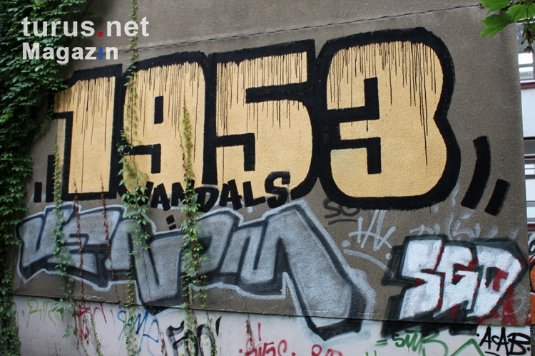 Graffiti / Schriftzug der Ultras der SG Dynamo Dresden
