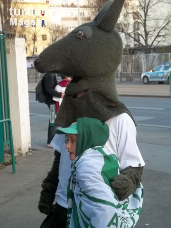 Mit dem Känguru zum Prager Derby