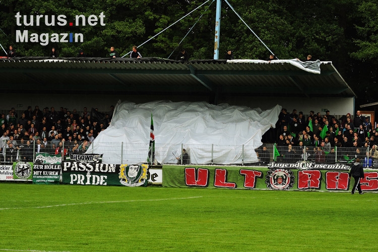 Hannover 96 Amateure vs. Eintracht Norderstedt