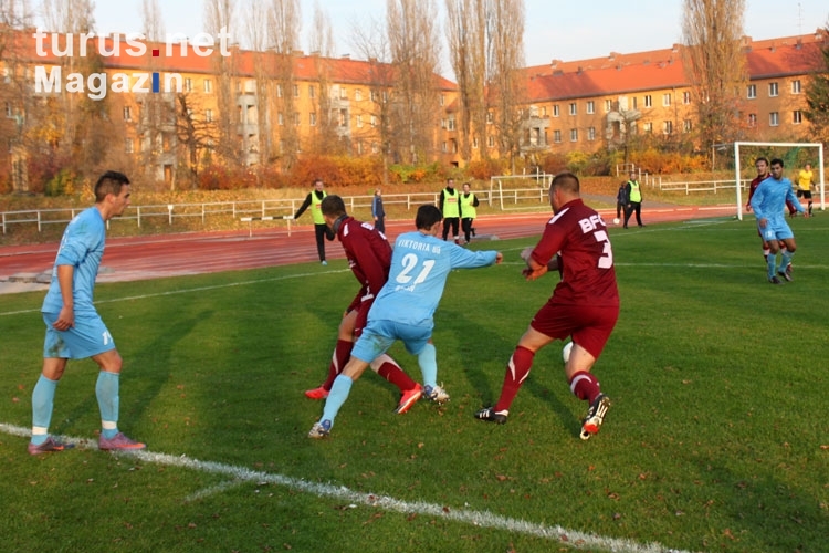 BFC Viktoria 1889 - BFC Dynamo im Friedrich-Ebert-Stadion, 1:0, 06. November 2011