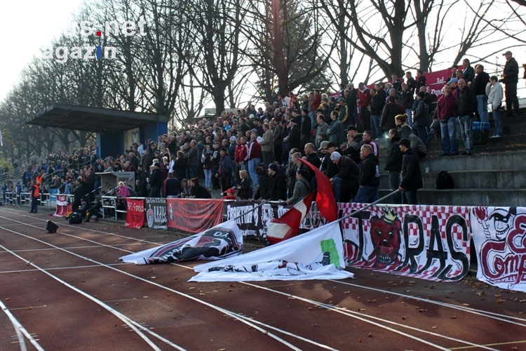 BFC Viktoria 1889 - BFC Dynamo im Friedrich-Ebert-Stadion, 1:0, 06. November 2011