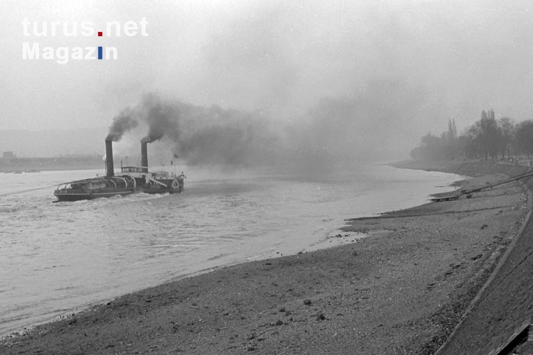Dampfschiff auf dem Rhein, 50er Jahre