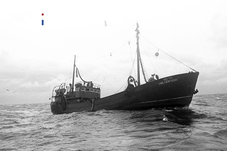 Fischfang auf hoher See, Fischerei auf der Ostsee, 50er Jahre