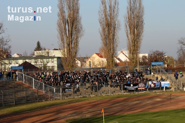 Fans / Ultras des SV Babelsberg 03 beim Auswärtsspiel in Frankfurt / Oder