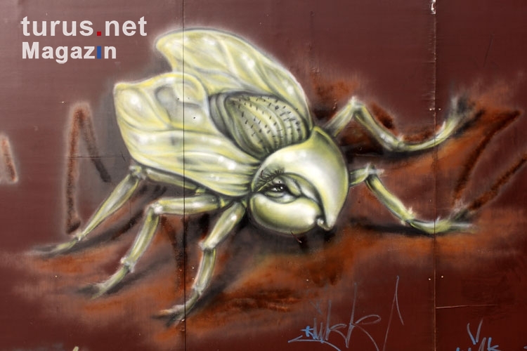 Das Insekt mit den hübschen Augen - kunstvolles Graffiti in Berlin-Friedrichshain 