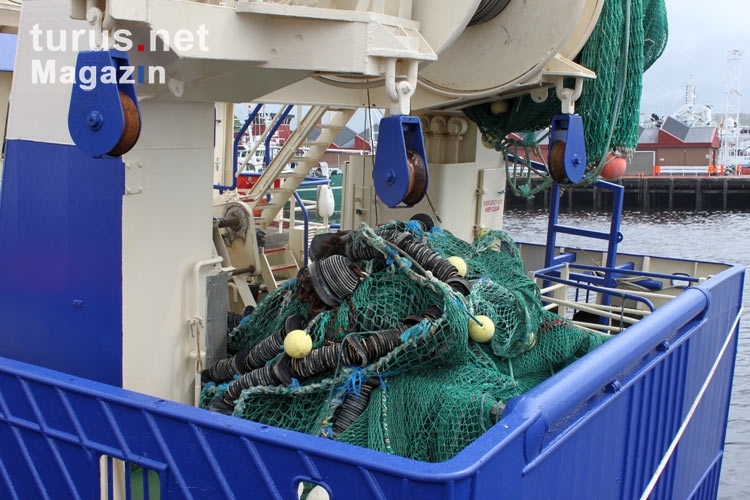 Fischfang an der irischen Westküste, Fischerboote & Schiffe in einem Hafen
