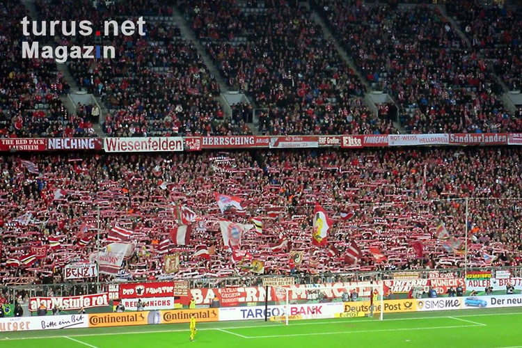 FC Bayern München vs. SV Darmstadt 98