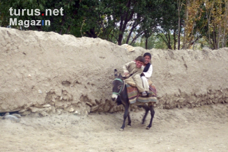 Kinder auf einem Esel, Straße in Faizabad (Feyzabad, Fayz Abad), Islamische Republik Afghanistan