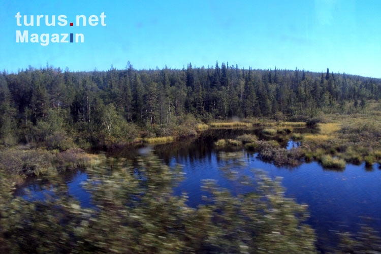 Mit der Eisenbahn von Petrosawodsk nach Murmansk, Blick aus dem Zugfenster, russische Landschaft