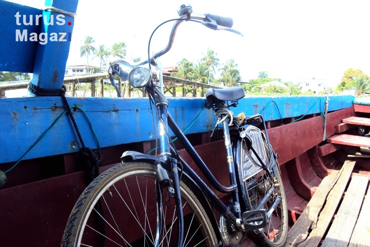 Mit dem Fahrrad unterwegs in Suriname, Südamerika
