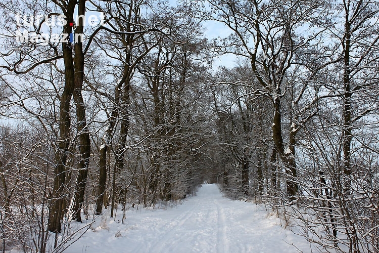Winterlicher Weg von Altlandsberg nach Werneuchen