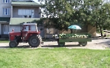 Melonenverkauf in Vrsac