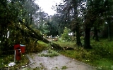 Sturmschäden durch Orkan „Xavier“
