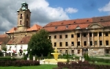 verfallenes Schloss in Zary