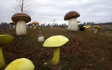 riesige Pilze im Dino-Park