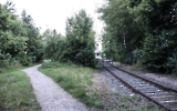 alte Gleise in Wilhelmsruh