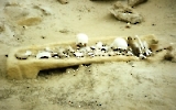 Knochenreste auf einem geöffneten Sarkophag