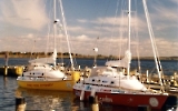 Time for Sydney & First Cash im Hafen auf Hiddensee