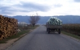 Melonen auf dem LKW - im Südosten Mazedoniens