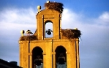 landestypischer Kirchturm mit einem Storchennest in León