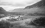 Wild campen in Schottland