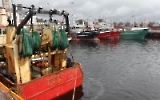 Fischfang an der irischen Westküste, Fischerboote & Schiffe in einem Hafen