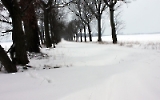 Reichlich Schnee in Brandenburg
