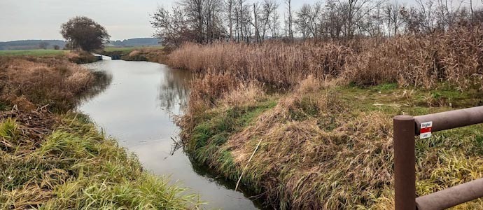 Tempomarsch um den Rangsdorfer See: abwechslungsreiche Landschaften und gesperrte Wege